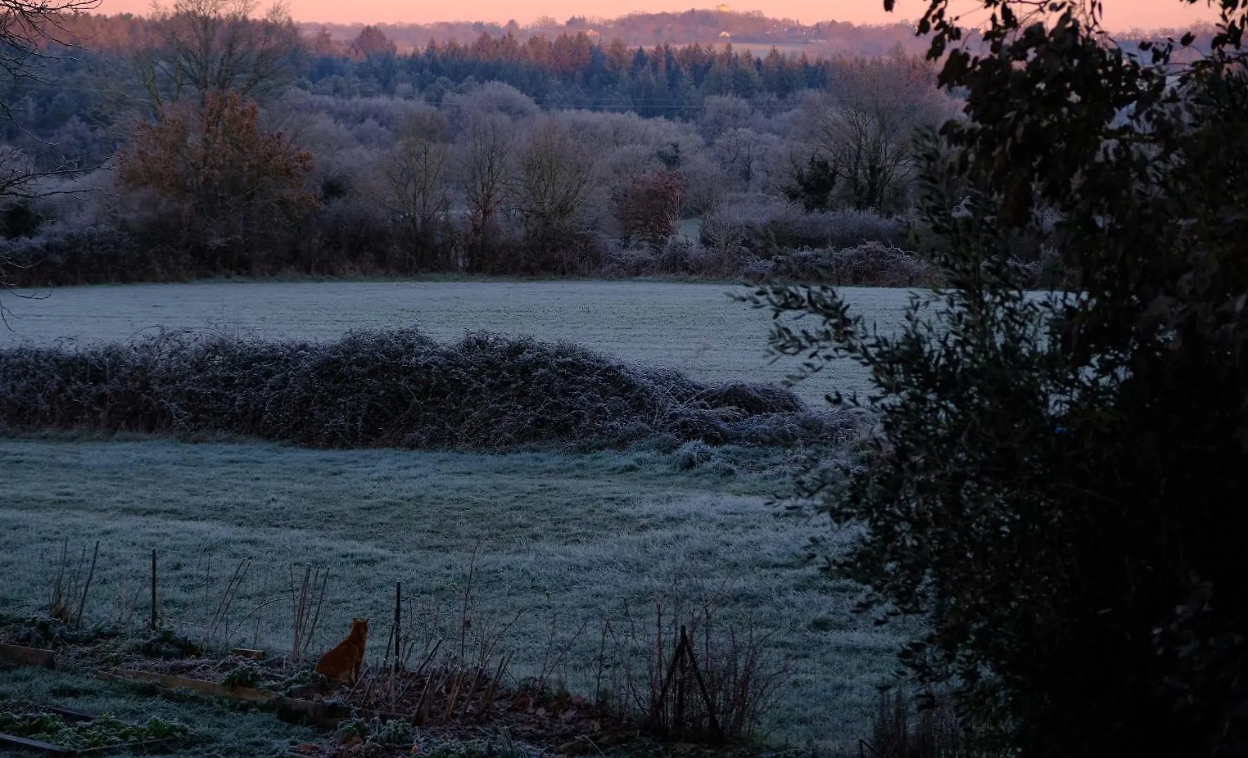 L'Tai : Charmante Maison En Pleine Nature ! Grand-Fougeray 0*,  France